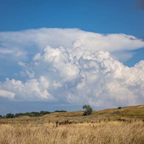 Photo #13392360