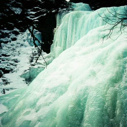 Photo #13392530