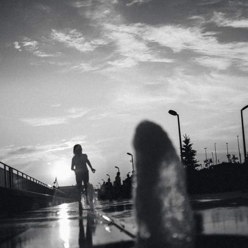 Photo #13392554