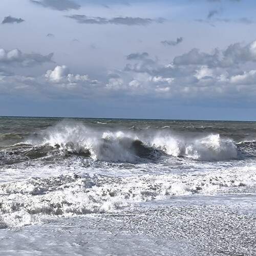 Photo #13392584