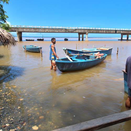Photo #13392629