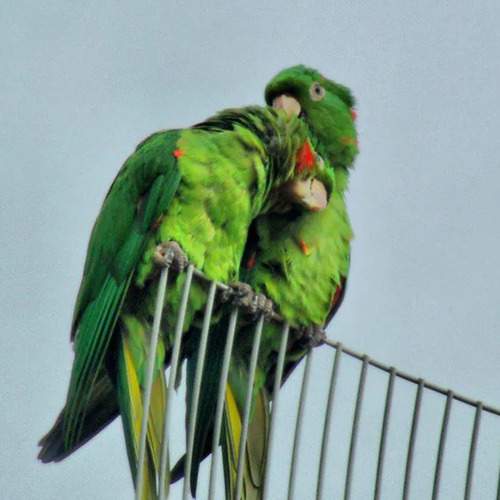Photo #13392664