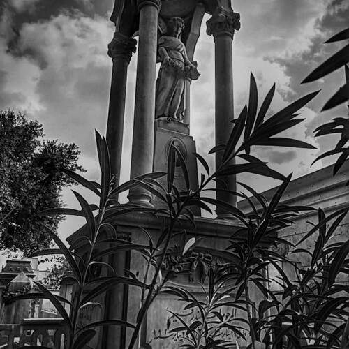 Фотография #13392700