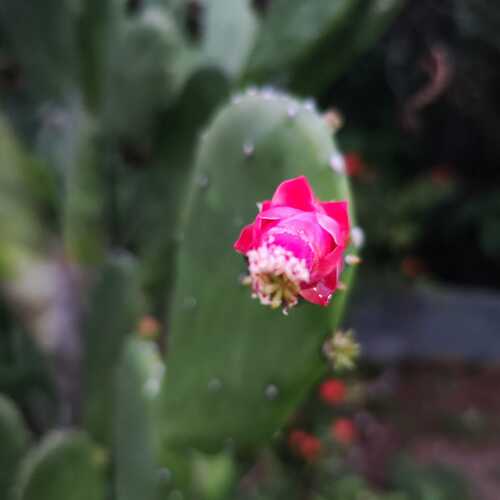 Photo #13392714