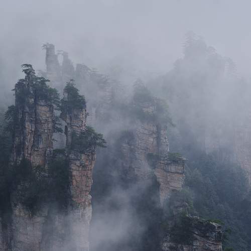 Photo #13392720