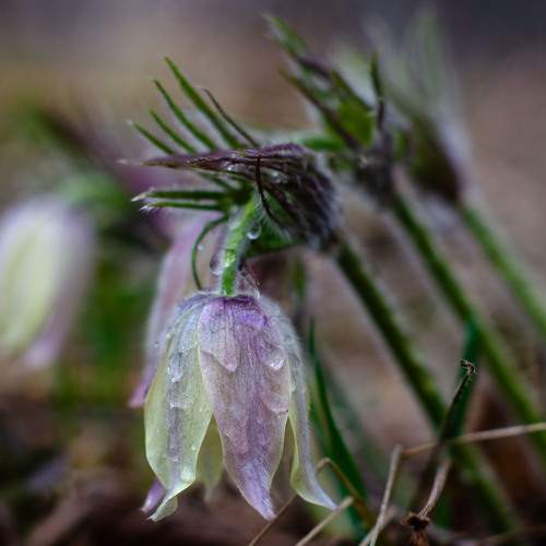 Photo #13392731