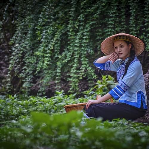 Photo #13392752