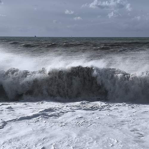 Photo #13392779