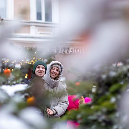 Photo #13392783
