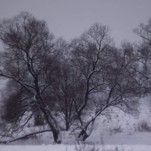 Photo #13392897