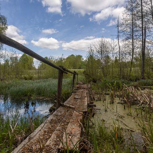 Photo #13392968