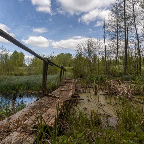 Photo #13392971