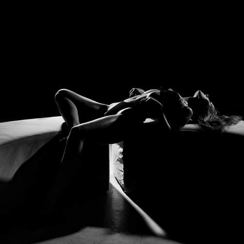 Photo #13393010