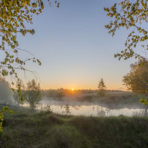Photo #13393100