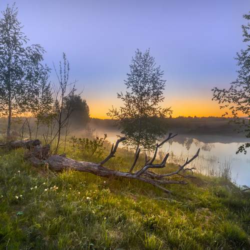 Photo #13393105