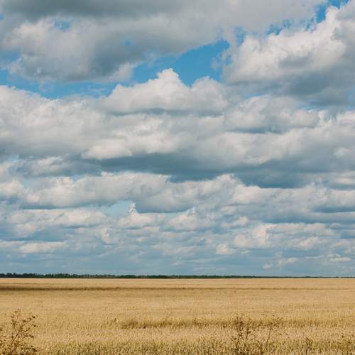 Photo #13393174