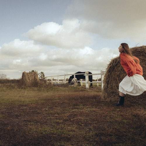 Photo #13393229