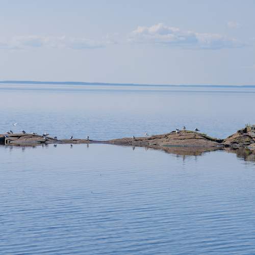 Photo #13393281