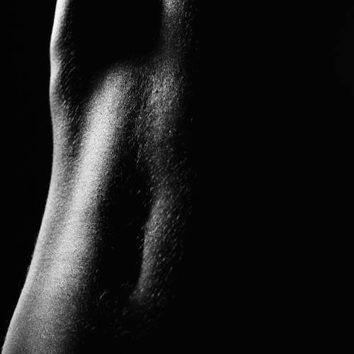 Photo #13393299