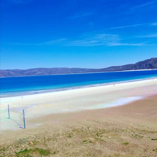 Photo #13393396