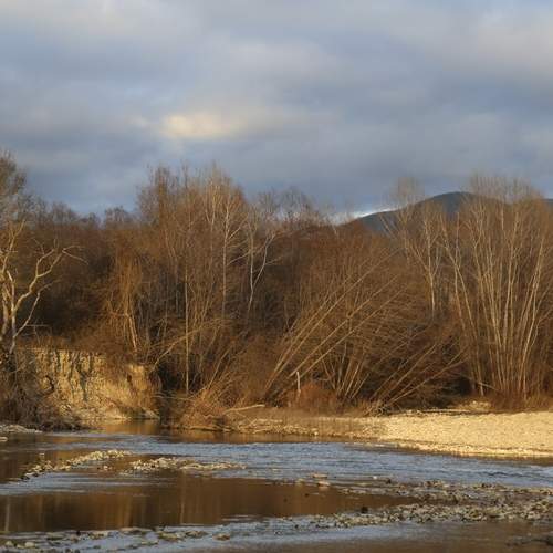 Photo #13393405