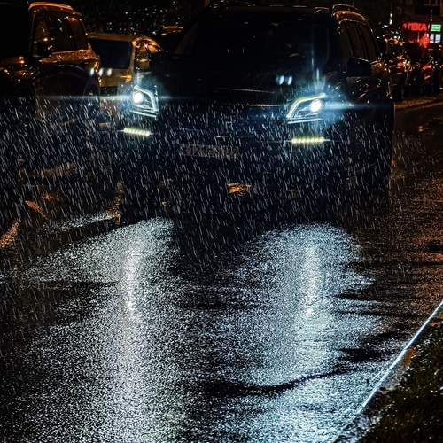 Photo #13393458
