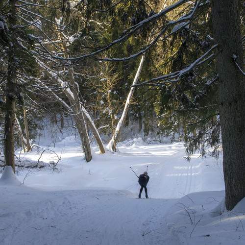 Photo #13393508