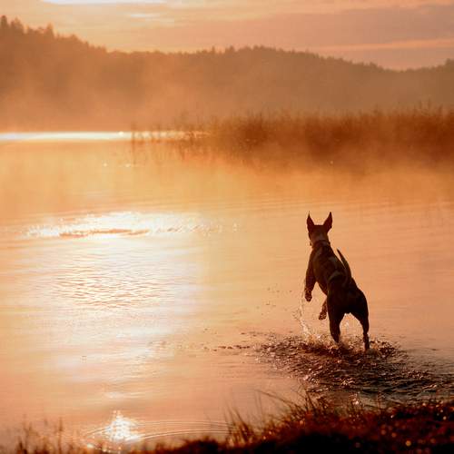 Photo #13393509