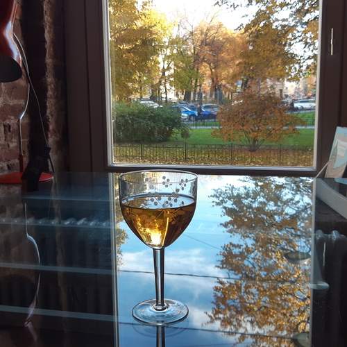 Photo #13393622