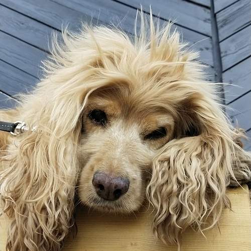 Photo #13393628