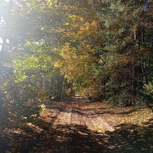 Photo #13393641