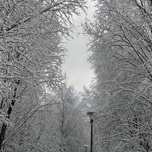 Photo #13393726