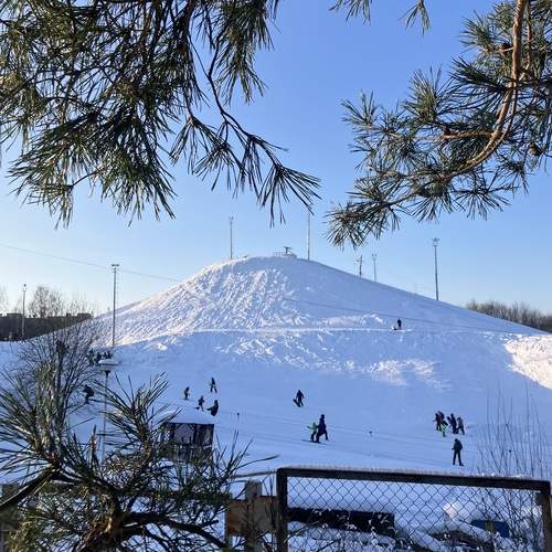 Photo #13393849