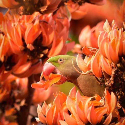 Photo #13393855