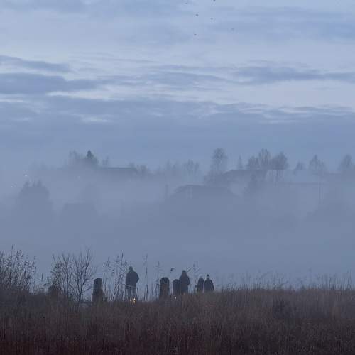 Photo #13393983