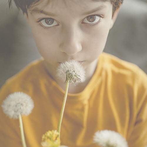 Photo #13394018