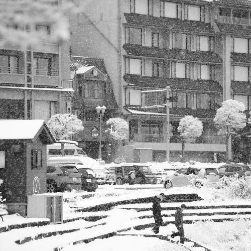 Photo #13394032