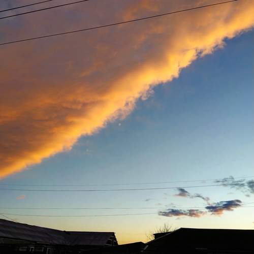 Photo #13394101