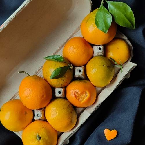 Photo #13394143
