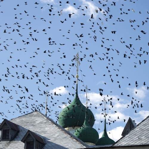 Photo #13394174