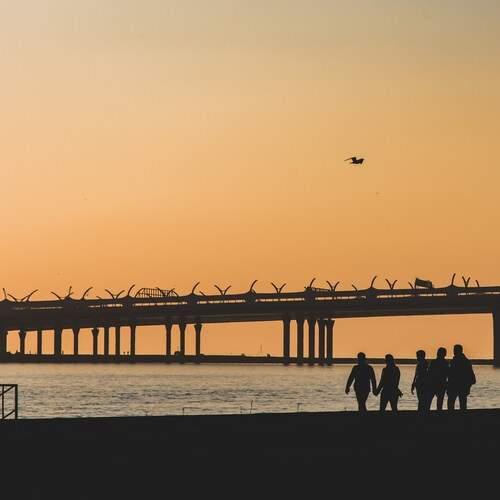 Photo #13394295
