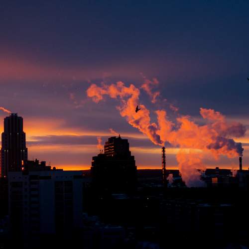 Photo #13394299