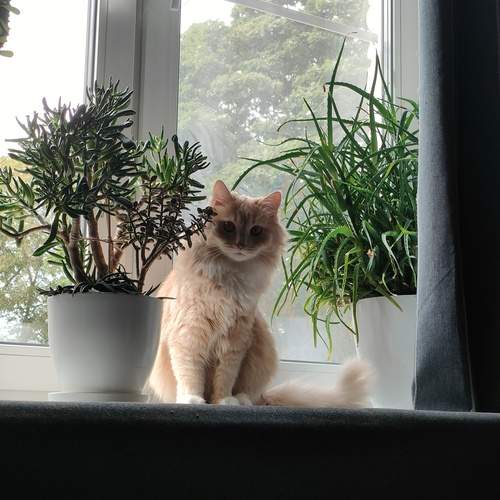 Photo #13394363