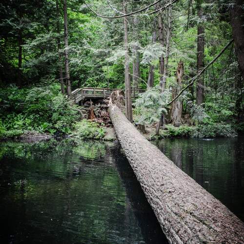 Photo #13394392