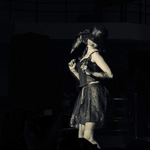 Photo #13394461