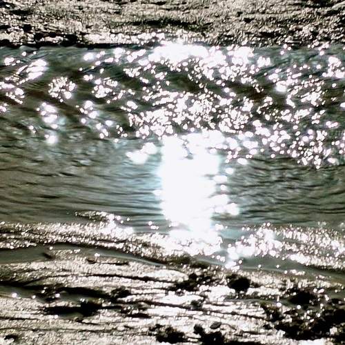 Photo #13394499