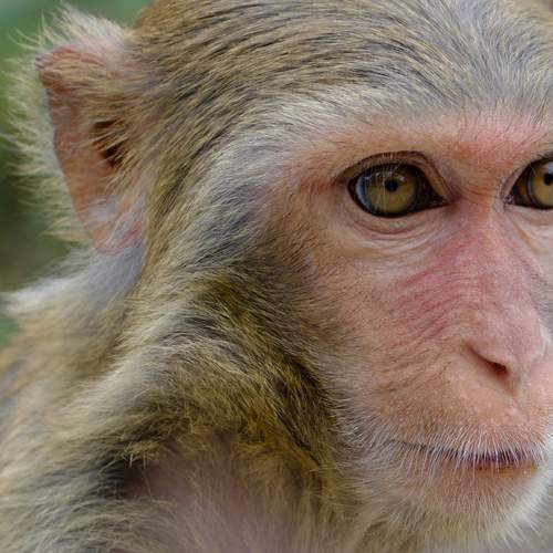 Photo #13394531