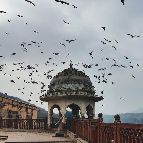 Photo #13394547