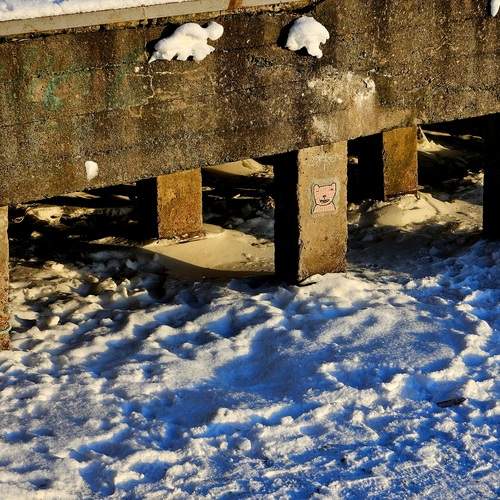 Photo #13394712