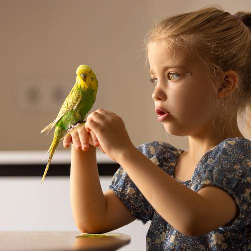 Photo #13394713